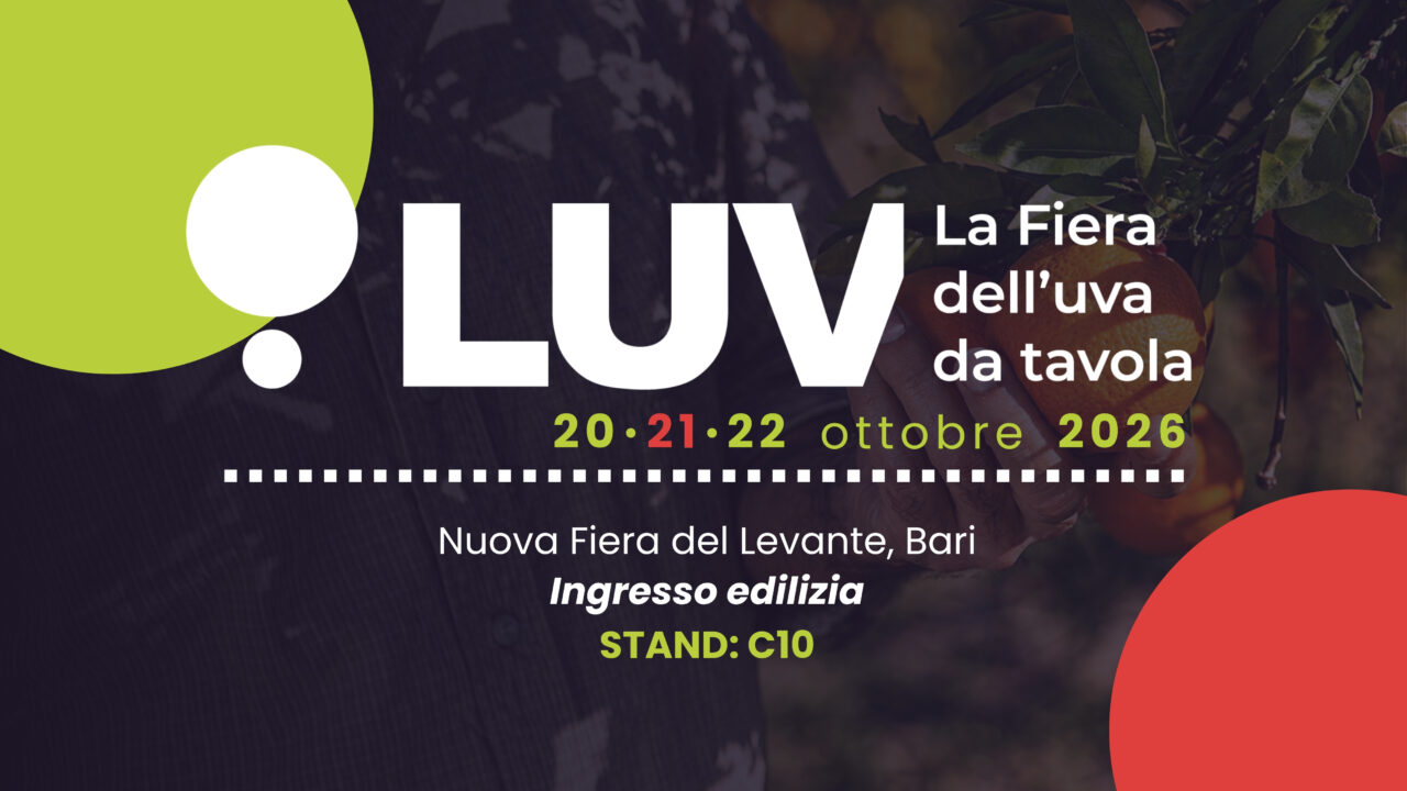 Progetto-senza-titolo-1-1280x720.jpg